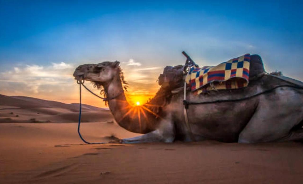 Holiday Desert Camp Merzouga Ngoại thất bức ảnh